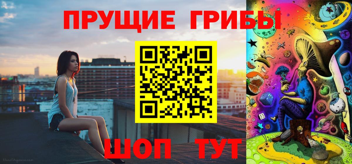 Осинники  Псилоцибиновые грибы Magic Shrooms  Вход с VPN  Галлюциногенные грибы Magic Shrooms 